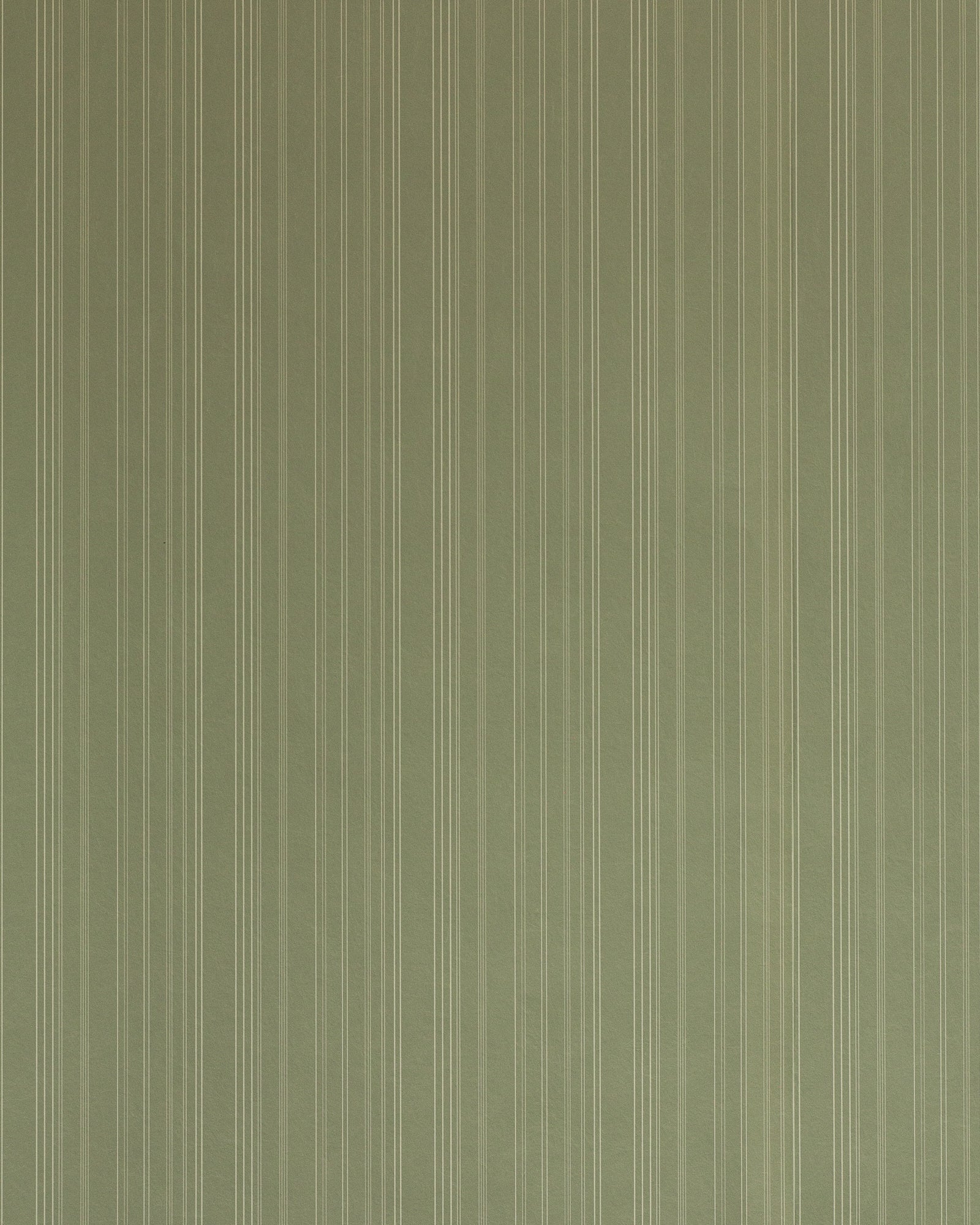 Harrison Stripe