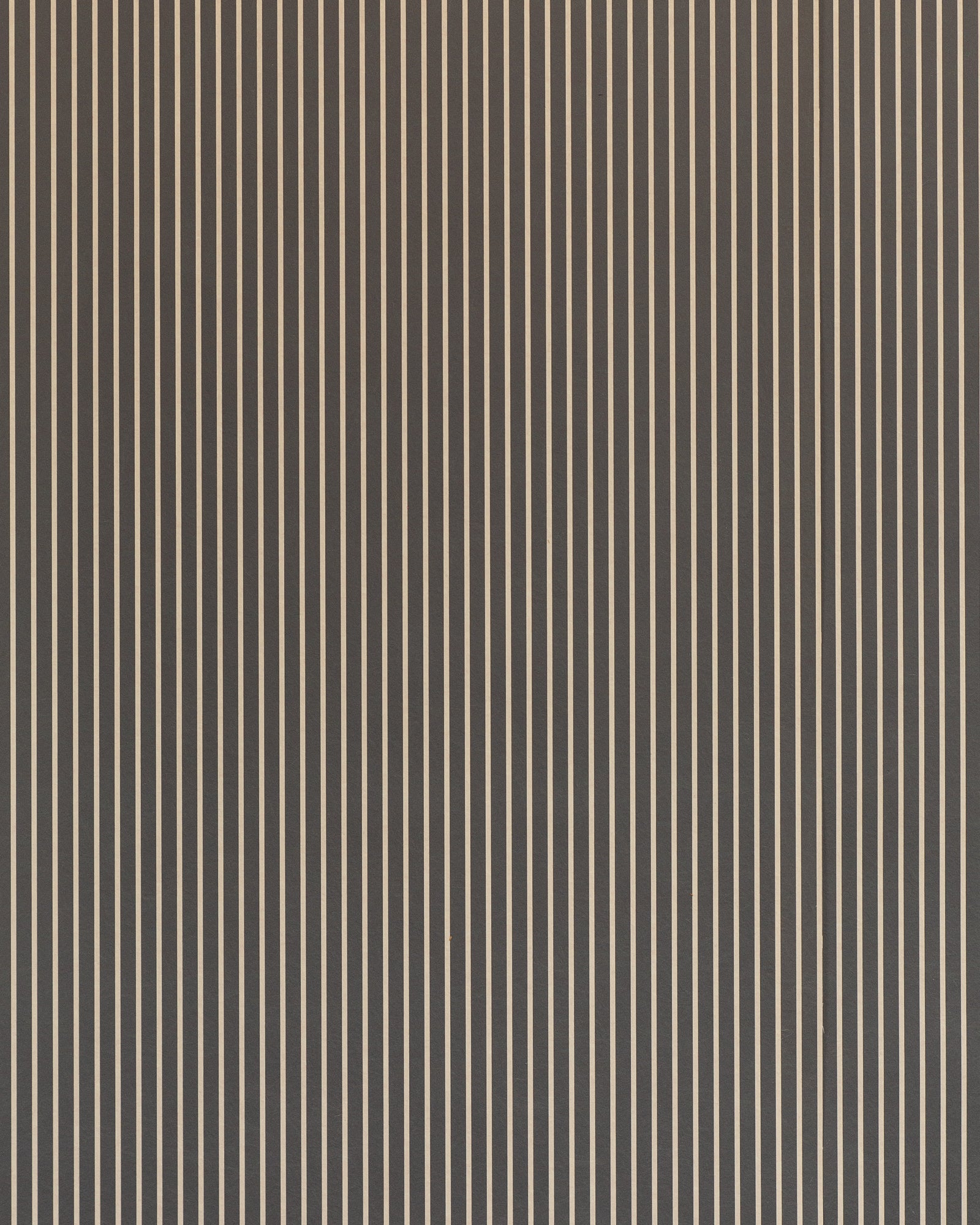 Lauren Stripe