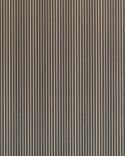 Lauren Stripe