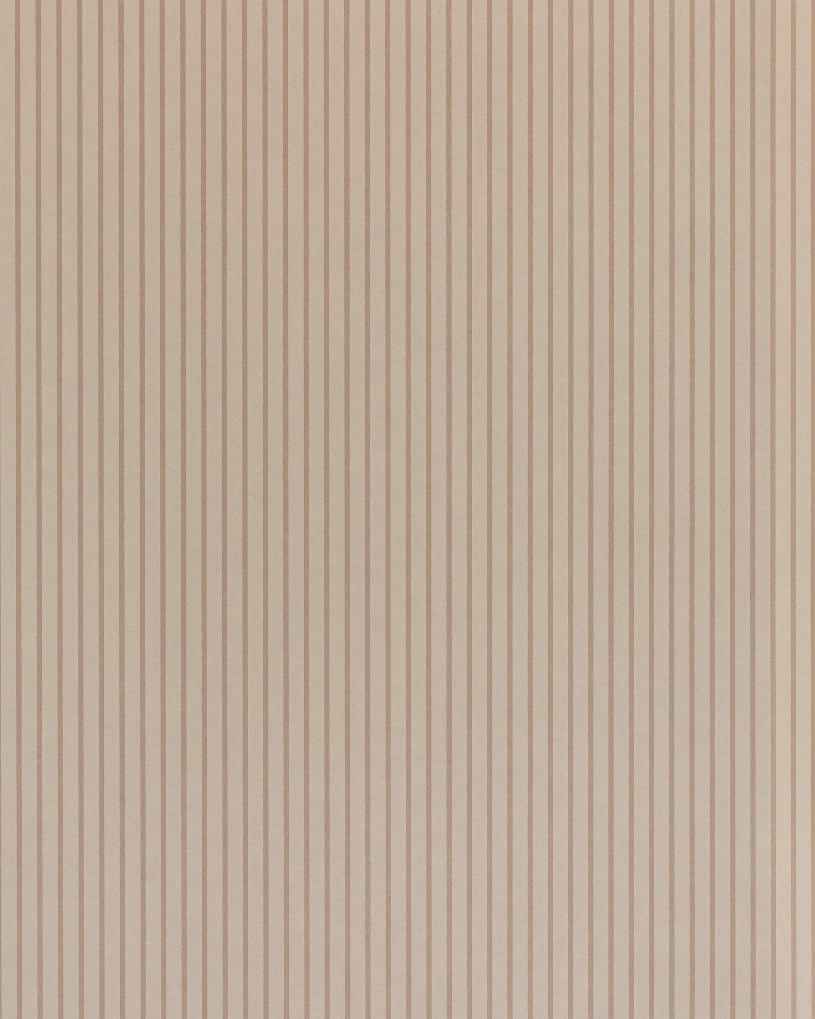 Lauren Stripe