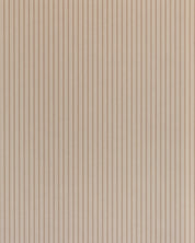 Lauren Stripe