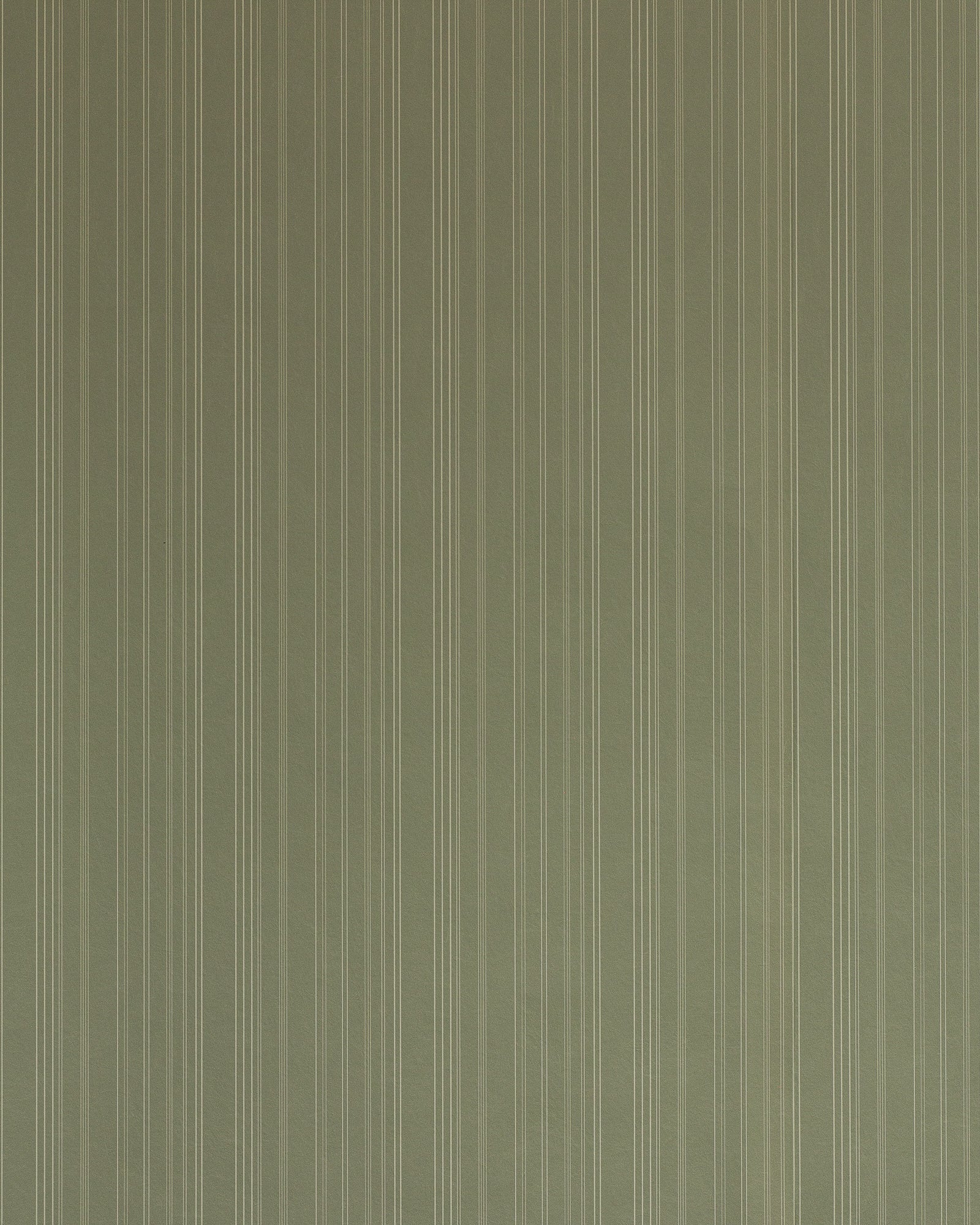 Harrison Stripe